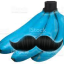 bluebananagamer69 avatar