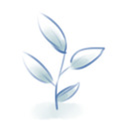 bluebasil avatar