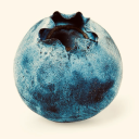blueberry-ry avatar