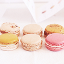 blueberrycobblestone avatar