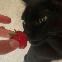 blueberryghosts avatar