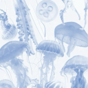 blueberrymilk-exe avatar