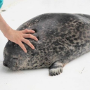 bluebetweenworlds avatar