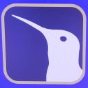 bluecherryfanta avatar