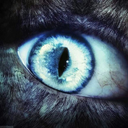 blueeyes261985 avatar