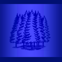 blueforest20 avatar
