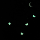 bluemarshmellows avatar