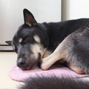 blueskiessugar avatar