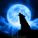 bluewintermoon avatar