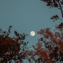 blurringperiphery avatar