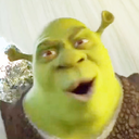 blurrypicturesofshrektheogre avatar