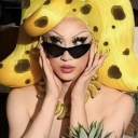 blushydrangea avatar