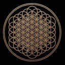 bmthuntilidie avatar