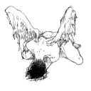 bodiesonbodiesonbodieson avatar