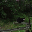 bog-body-in-training avatar