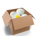 boiledeggbox avatar