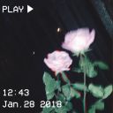 bokunobashobokunoumi avatar