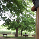 bokunotorisetsu avatar