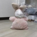 bondage-fairy avatar