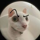 bonehead-nimble avatar