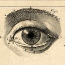 bonesobsession avatar