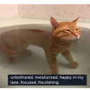 bonkersforknockers avatar