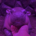 bonny-beannighe avatar