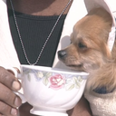 boogie-knight avatar