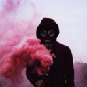 book-aestheticc avatar