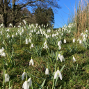 bookishfarmer avatar