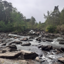 bookishnonsence avatar