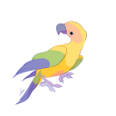books-and-birds avatar