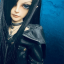 books-and-bjds avatar