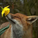 booksarepretty-blog1 avatar