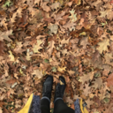 bookstakemeaway avatar