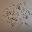 bookwormwhodoesnotread avatar