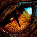 bookwyrmstudies avatar