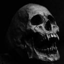 bookxofxnight avatar