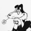 border-collie avatar