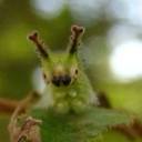 boredompostsfromnowhere avatar