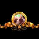 borknugget avatar