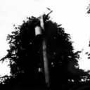 bornagainbadsheep avatar