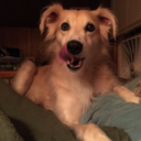 bornbythemoon avatar