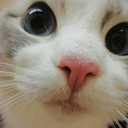 bornn-to-fuckk avatar