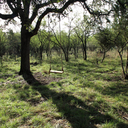 borris-and-gregory avatar