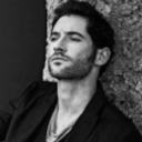 bottomdvddies avatar