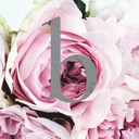 bouquet-bouquet avatar