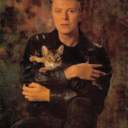 bowieinmydreams avatar