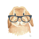 bowties-teehees avatar