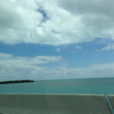 bowtiesandancientbooks avatar